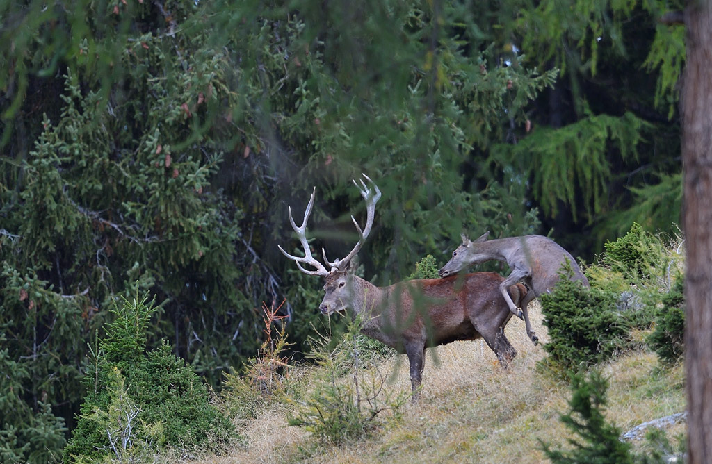 DS5_2605.jpg