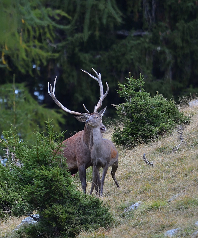 DS5_2630.jpg