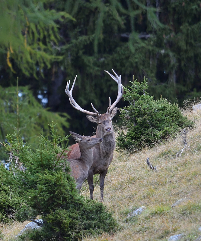 DS5_2632.jpg