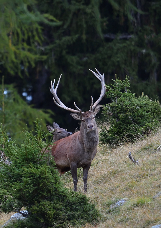 DS5_2635.jpg