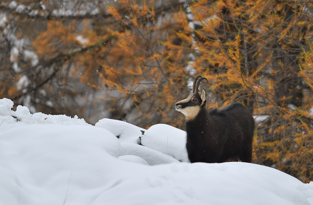 DS5_3012.jpg