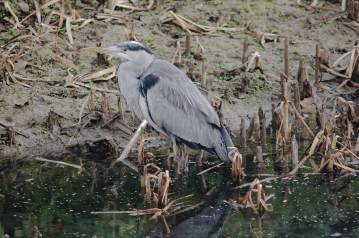 _K032546_DxO (FILEminimizer).jpg