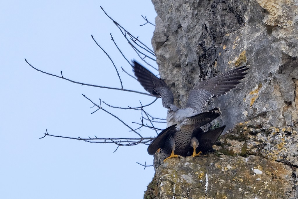 DSC_6818_DxO.jpg