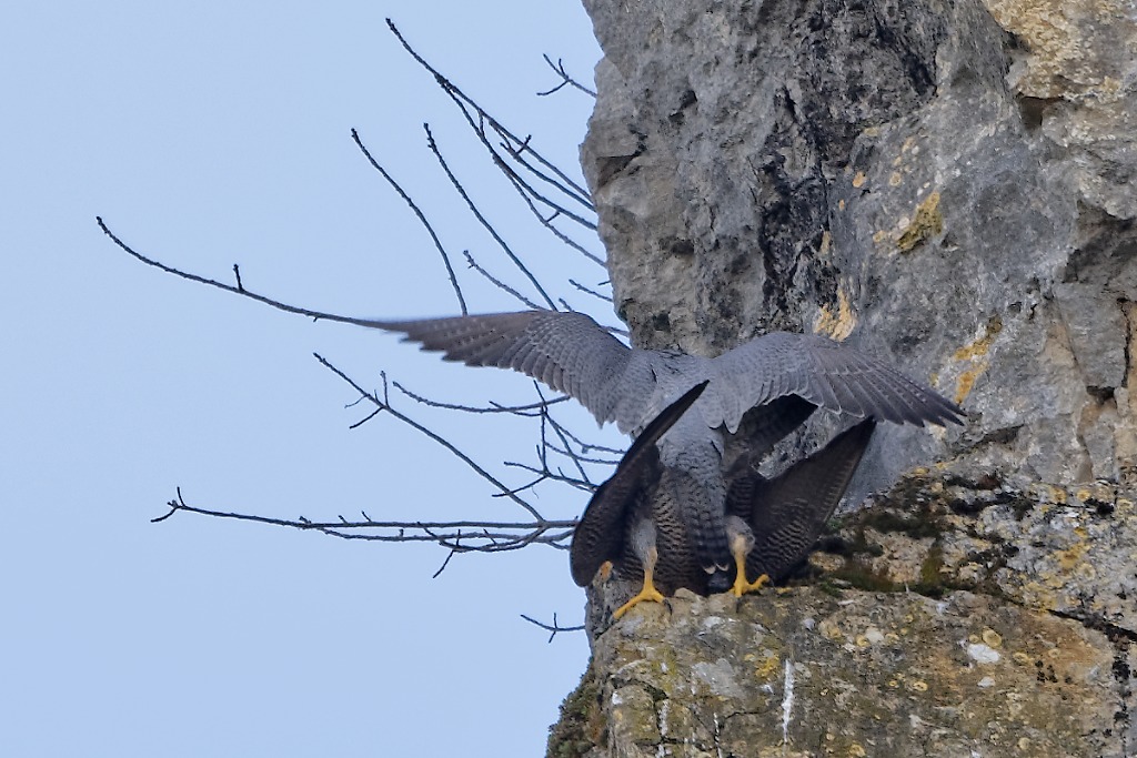 DSC_6819_DxO.jpg