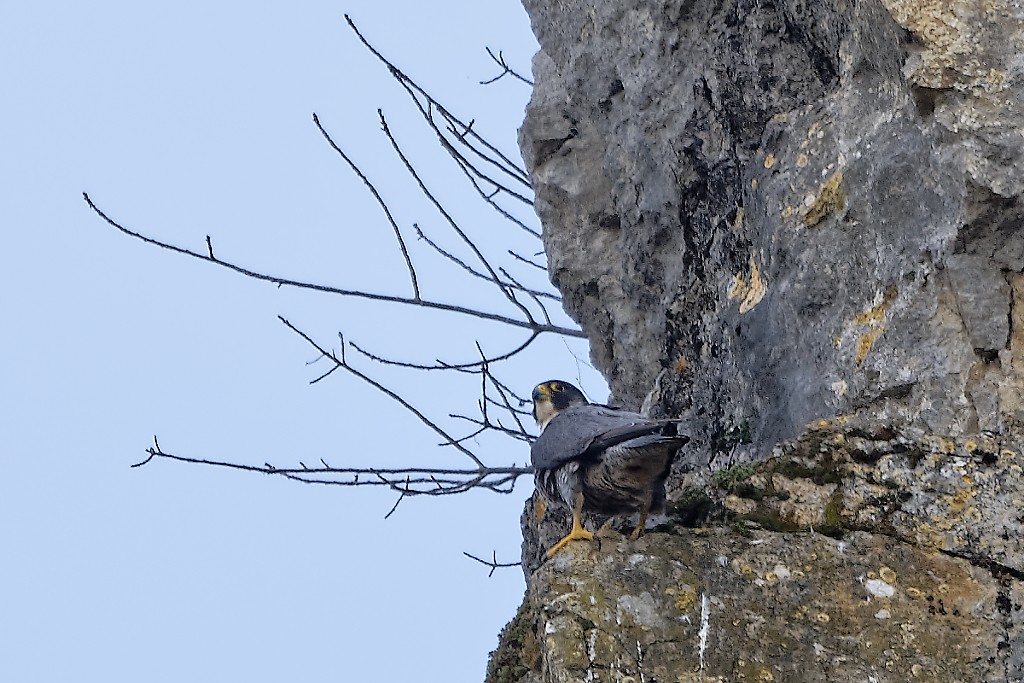 DSC_6824_DxO.jpg