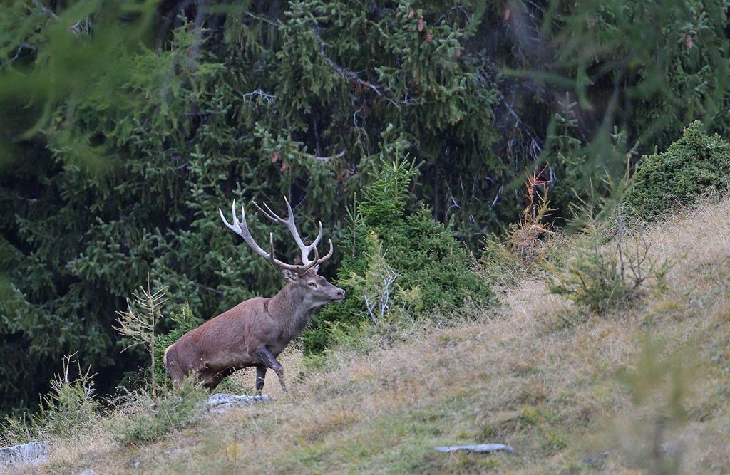 -DS5_2675.jpg