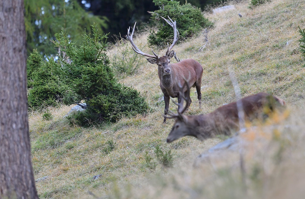-DS5_2680.jpg
