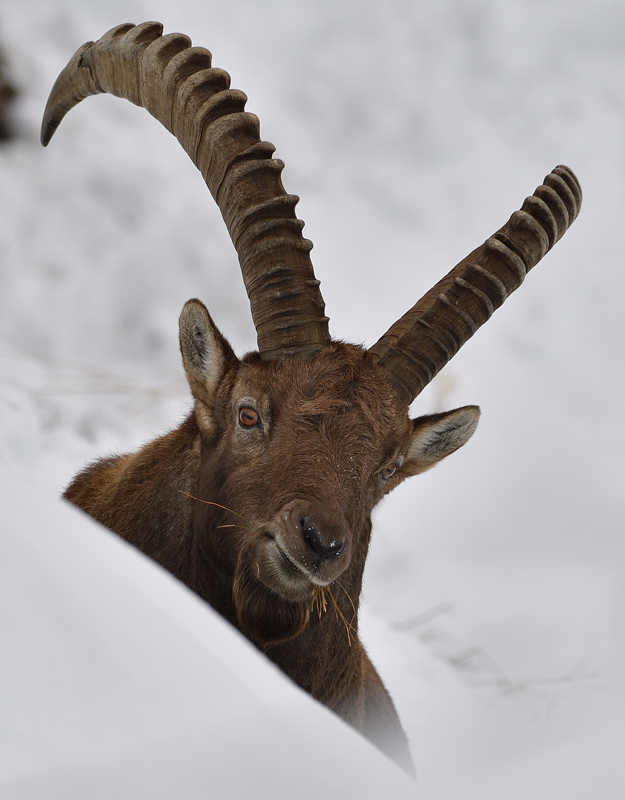 -DS5_3364.jpg