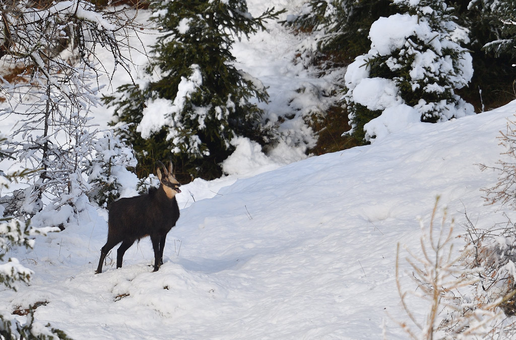DS5_2757.jpg