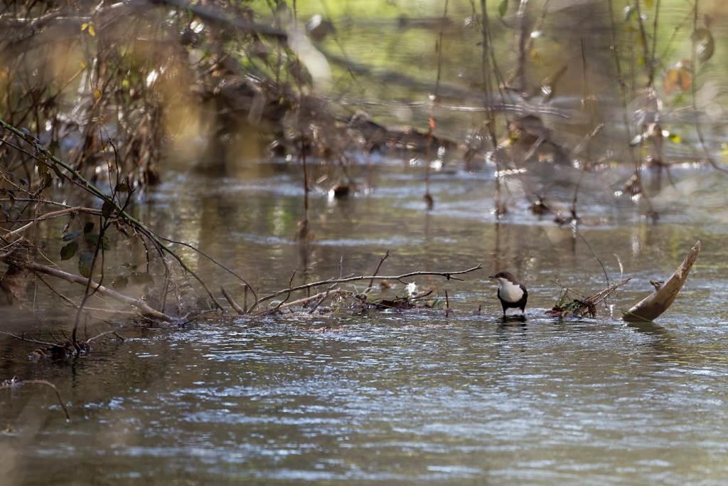 DSC_7066_DxO.jpg