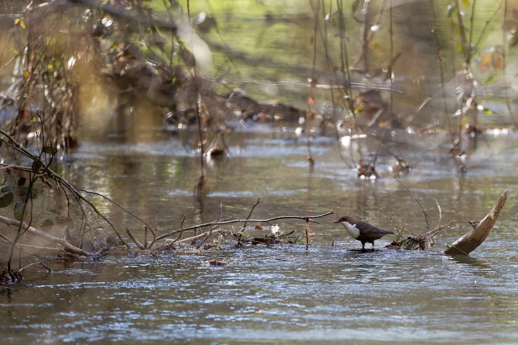 DSC_7070_DxO.jpg
