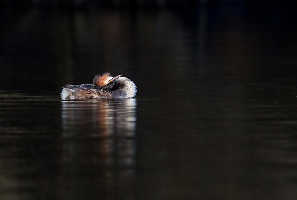IMG_1893 IN.jpg