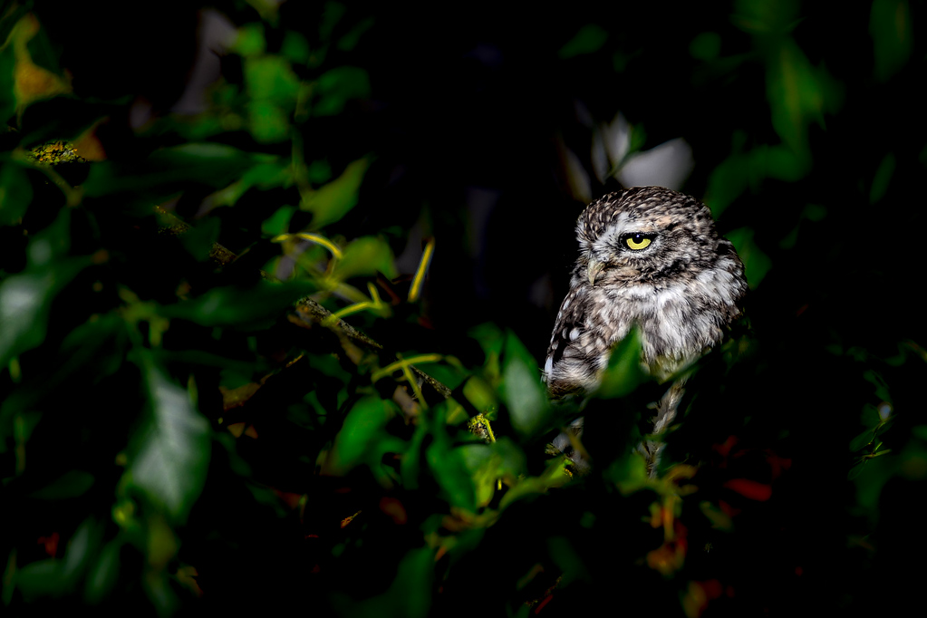 DSC_6340.jpg
