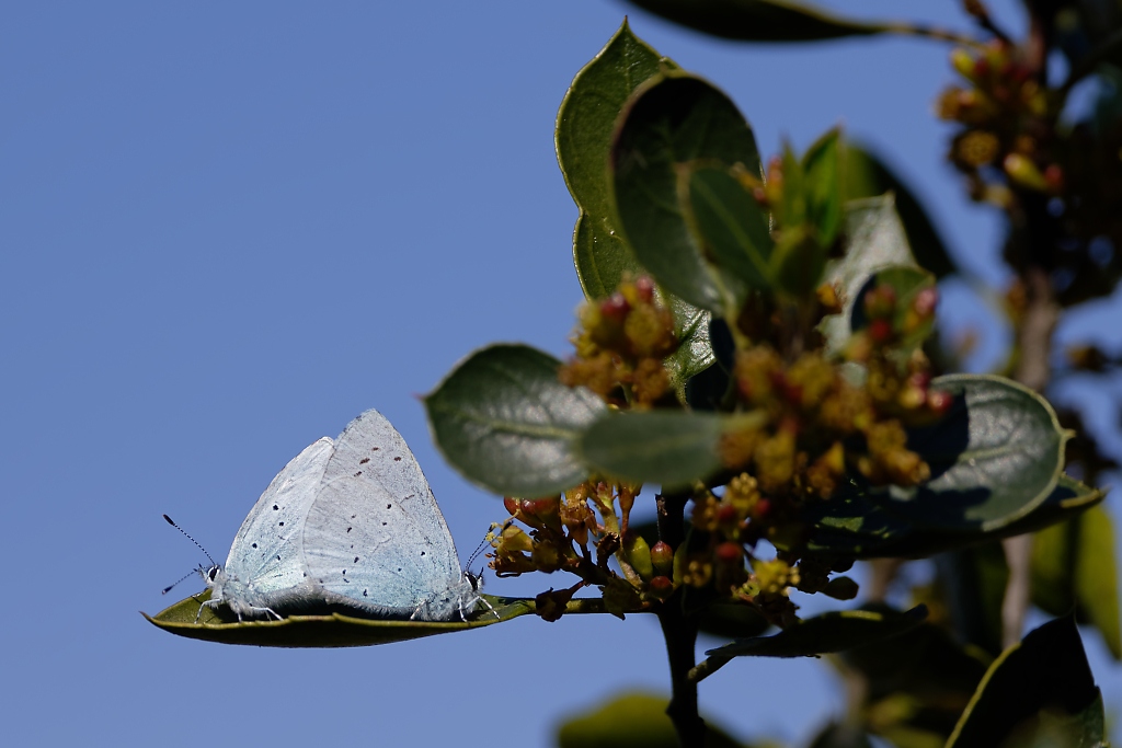 DSC_7572_DxO.jpg