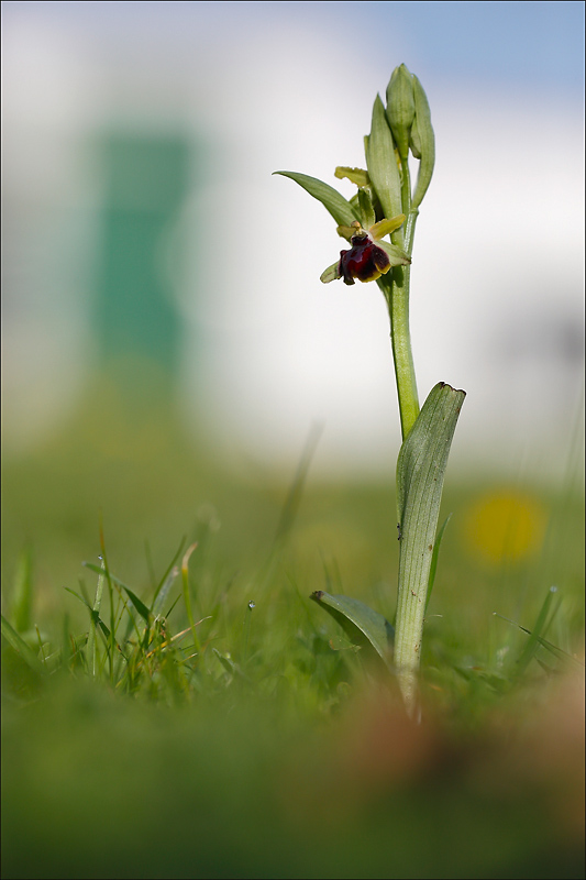 _LUN9328.jpg