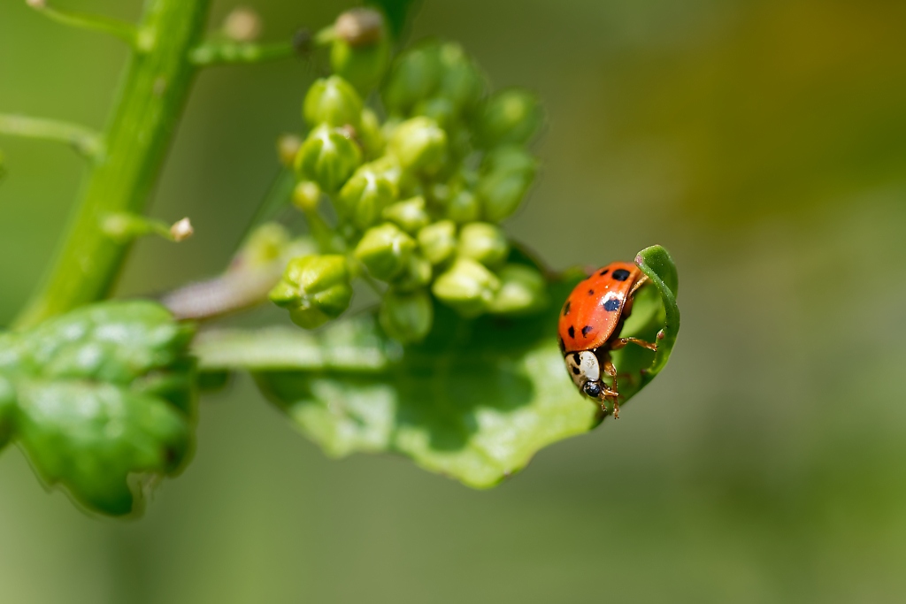DSC_7637_DxO.jpg