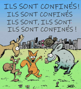 Sans titre.png