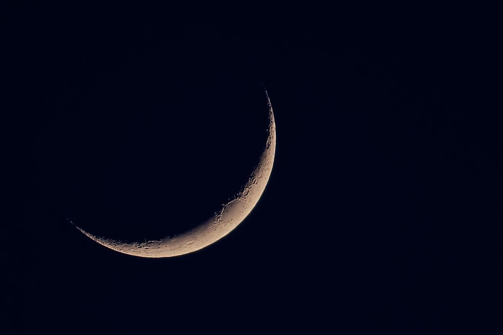 DSC_7786_DxO.jpg