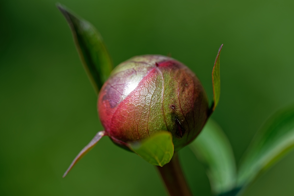 DSC_7713_DxO.jpg
