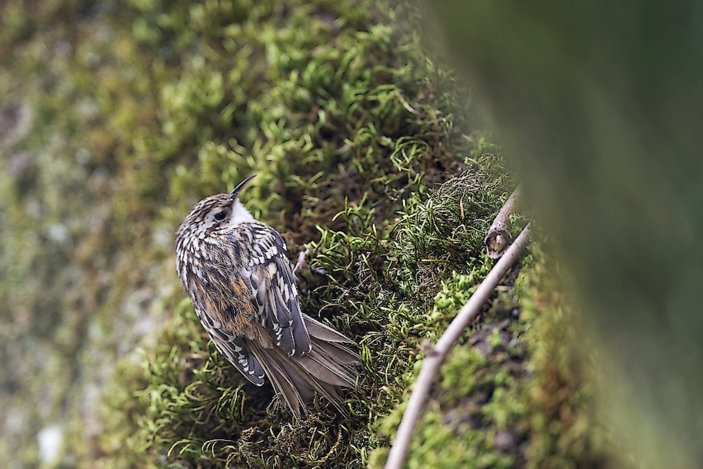 DSC_7869_DxO.jpg