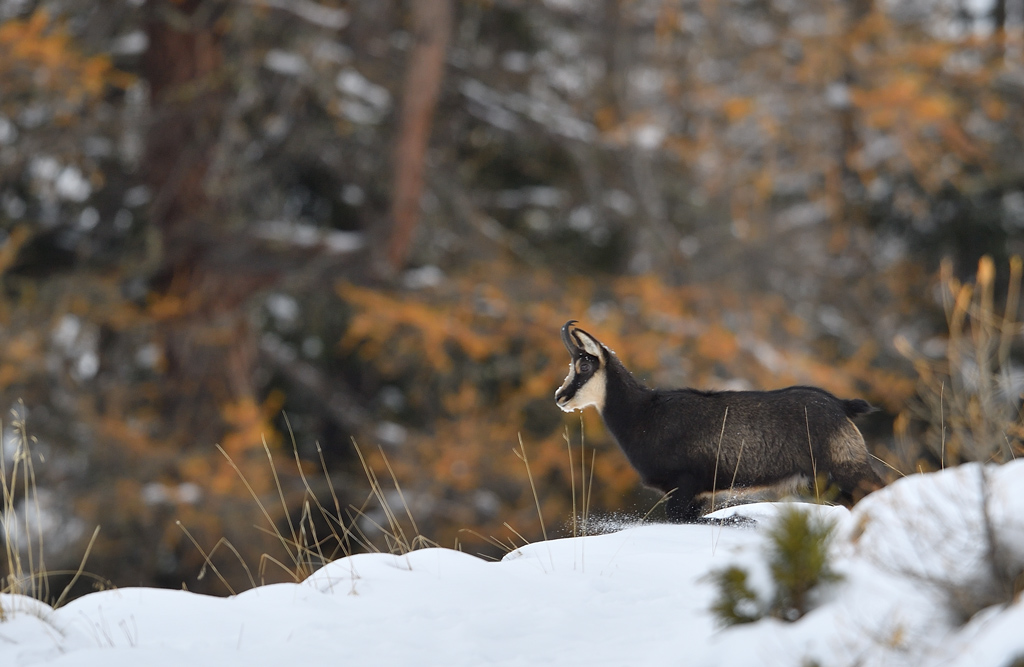 DS5_2959.jpg