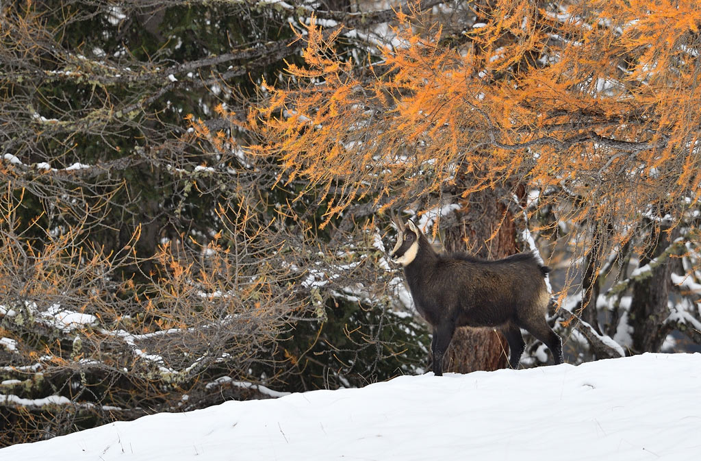 DS5_2967.jpg