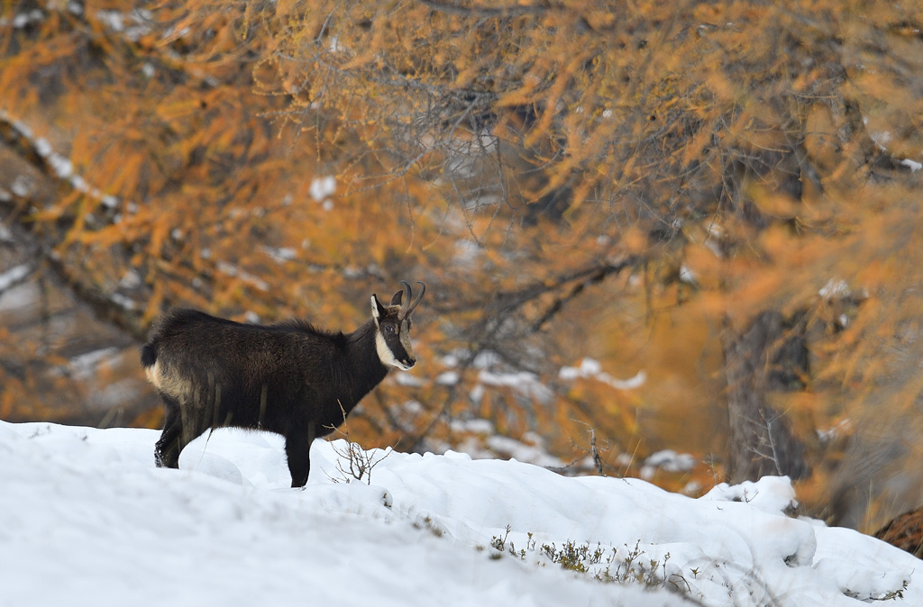 DS5_2975.jpg