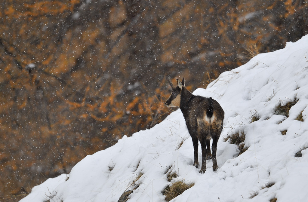 DS5_2984.jpg
