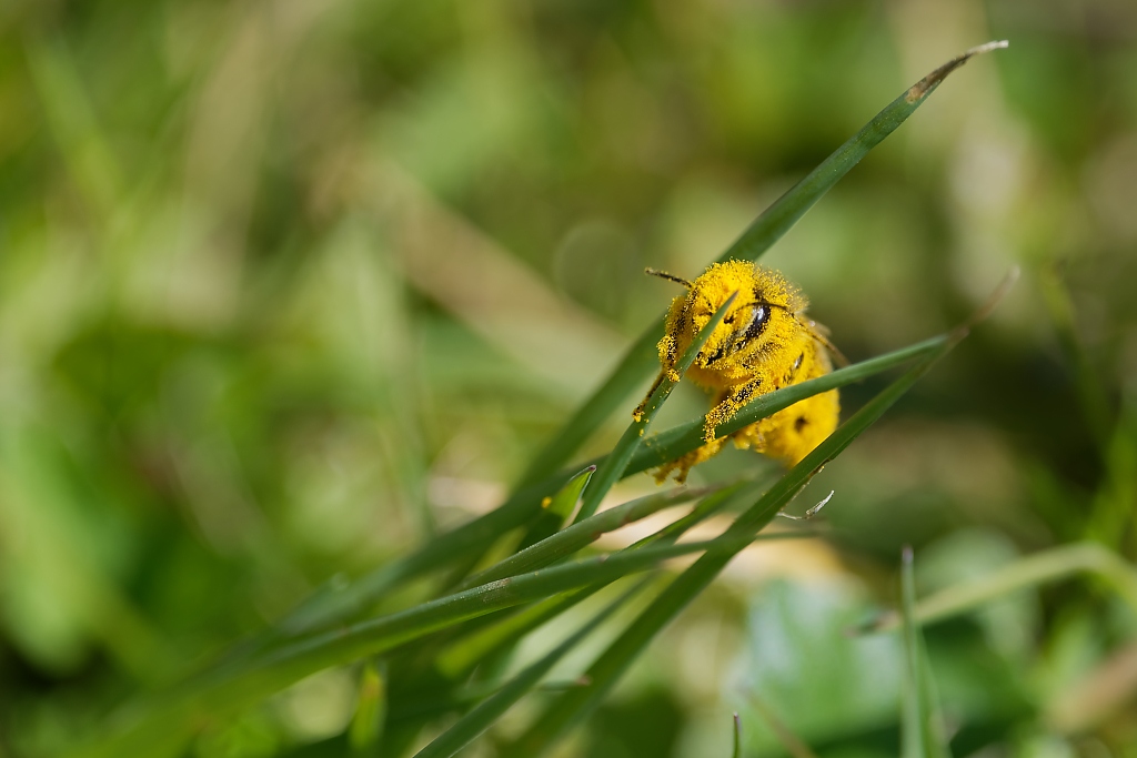 DSC_3148_DxO.jpg
