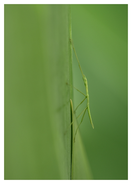 DSC_7355.JPG