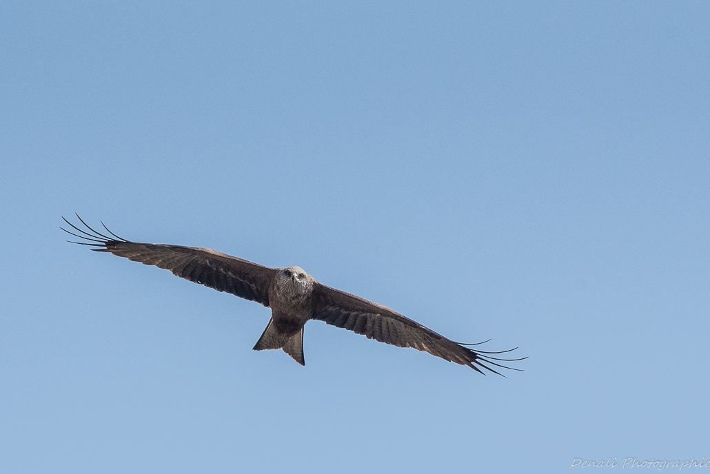 DSC_5064-2.jpg