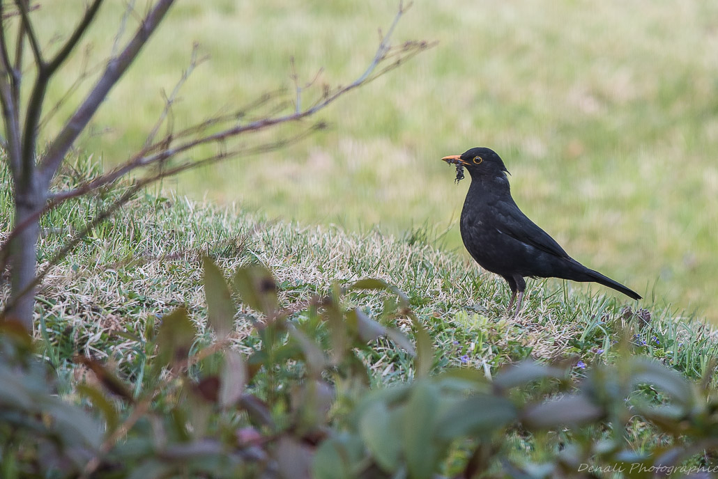 DSC_5073-2.jpg