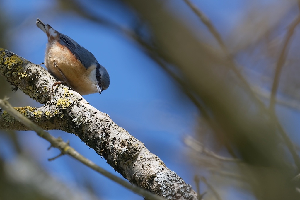 DSC_3144_DxO.jpg