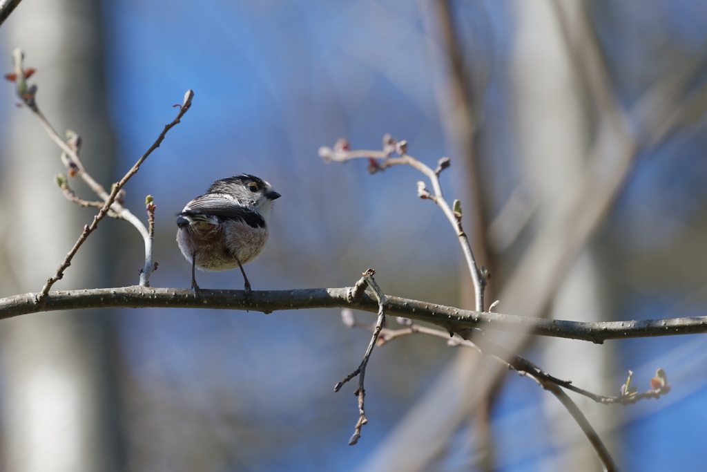DSC_3172_DxO.jpg