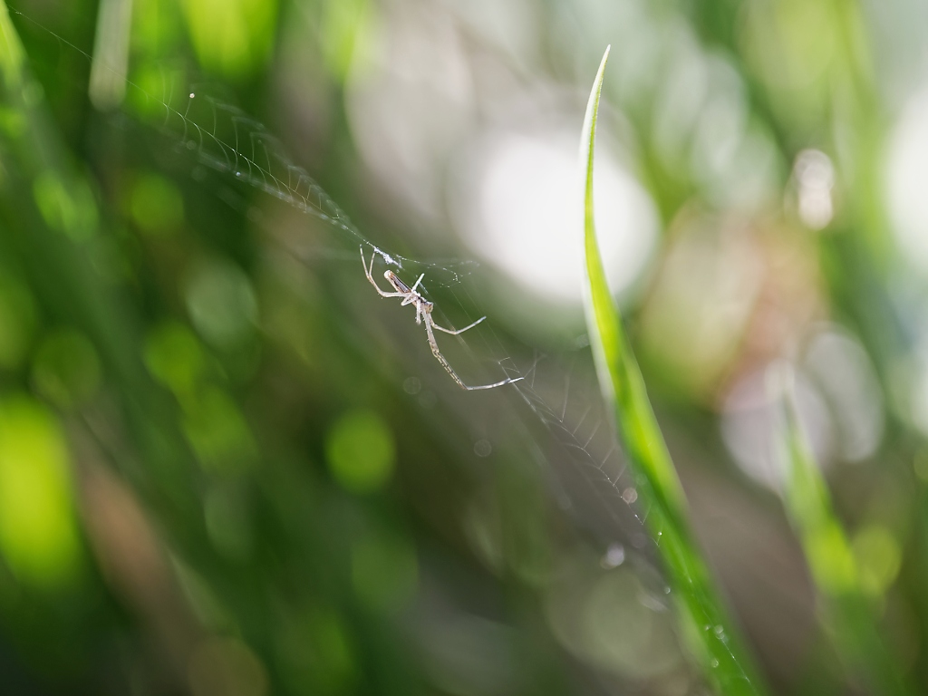 DSC_3180_DxO.jpg