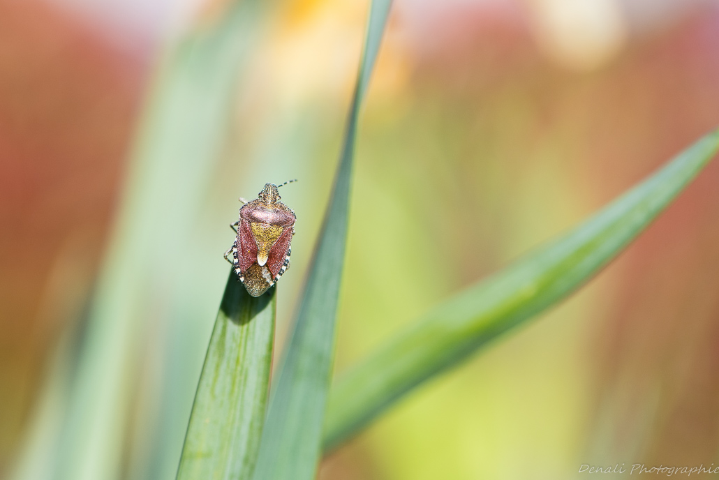 DSC_6026-2.jpg