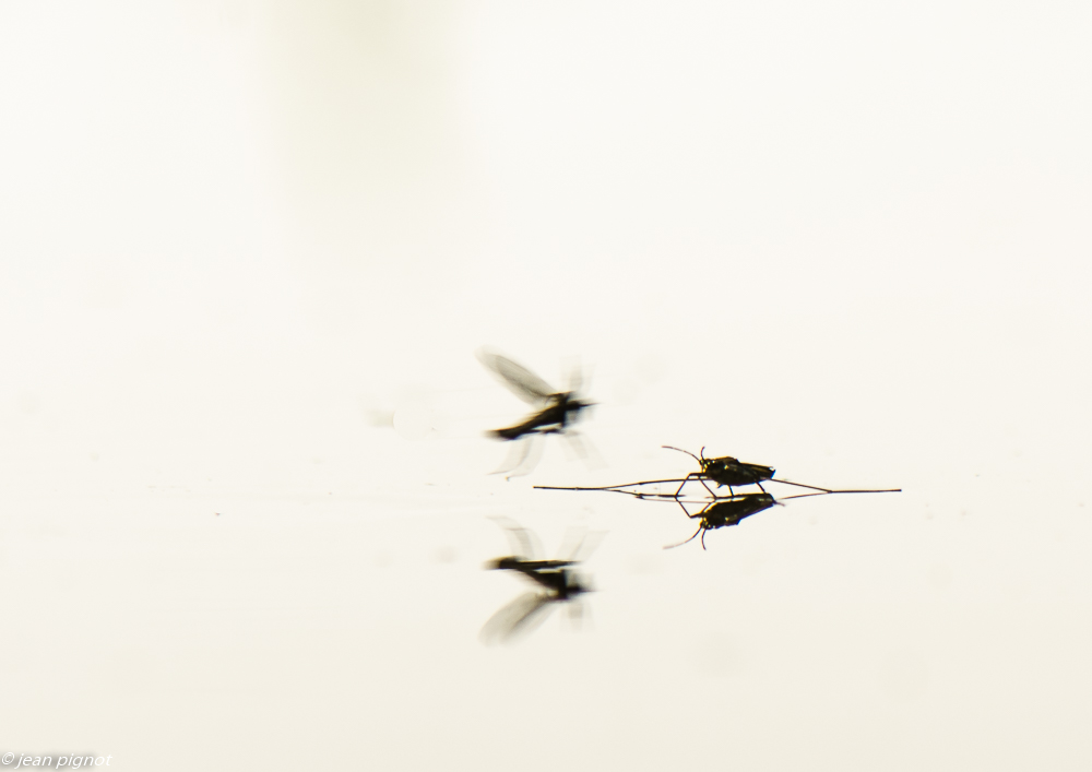 gerisse drink 05 2019-2.JPG