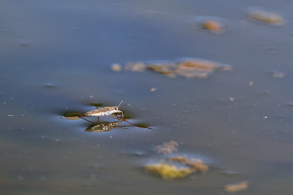DSC_8045_DxO.jpg