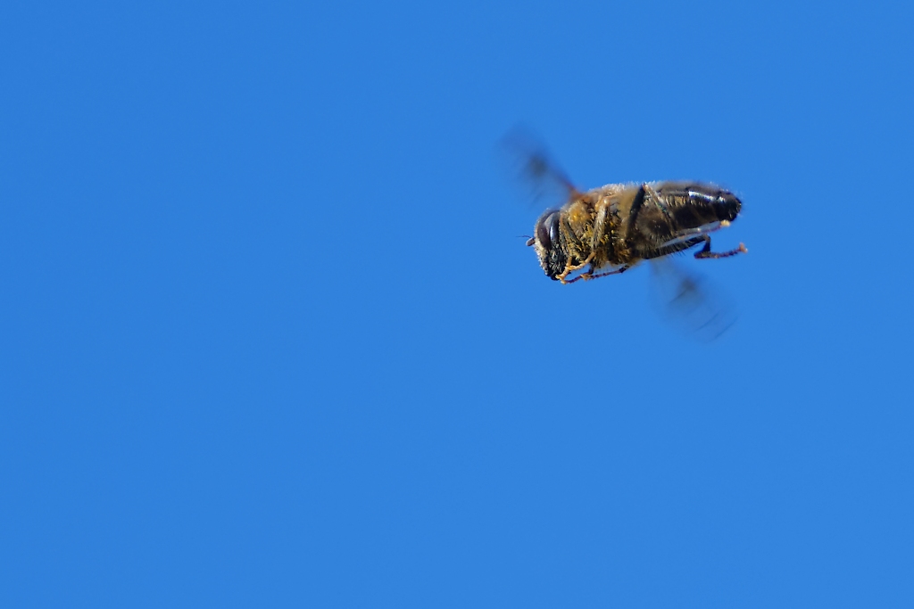 DSC_8120_DxO.jpg