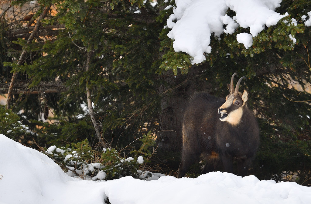 DS5_3035.jpg