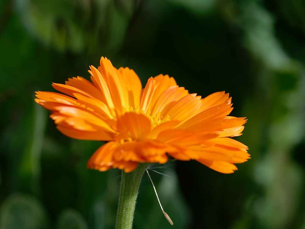 DSC_8245_DxO.jpg