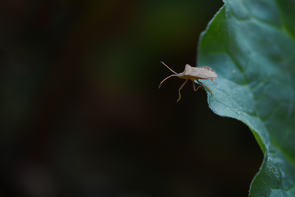 DSC_8676 copie 1.jpg