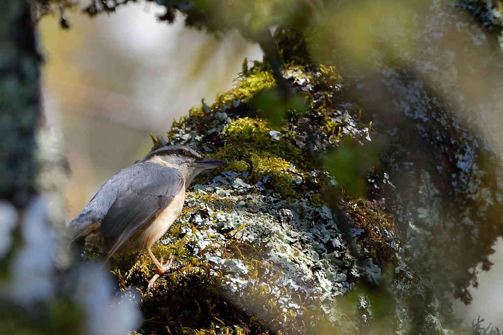 DSC_8078_DxO.jpg