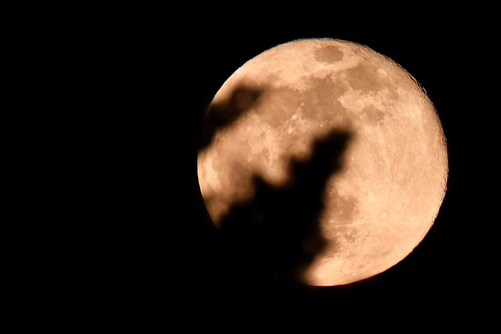 DSC_2280.JPG