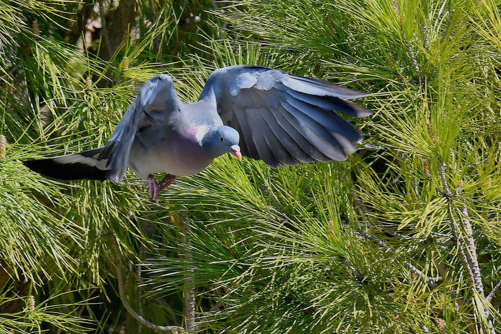 DSC_2321.JPG
