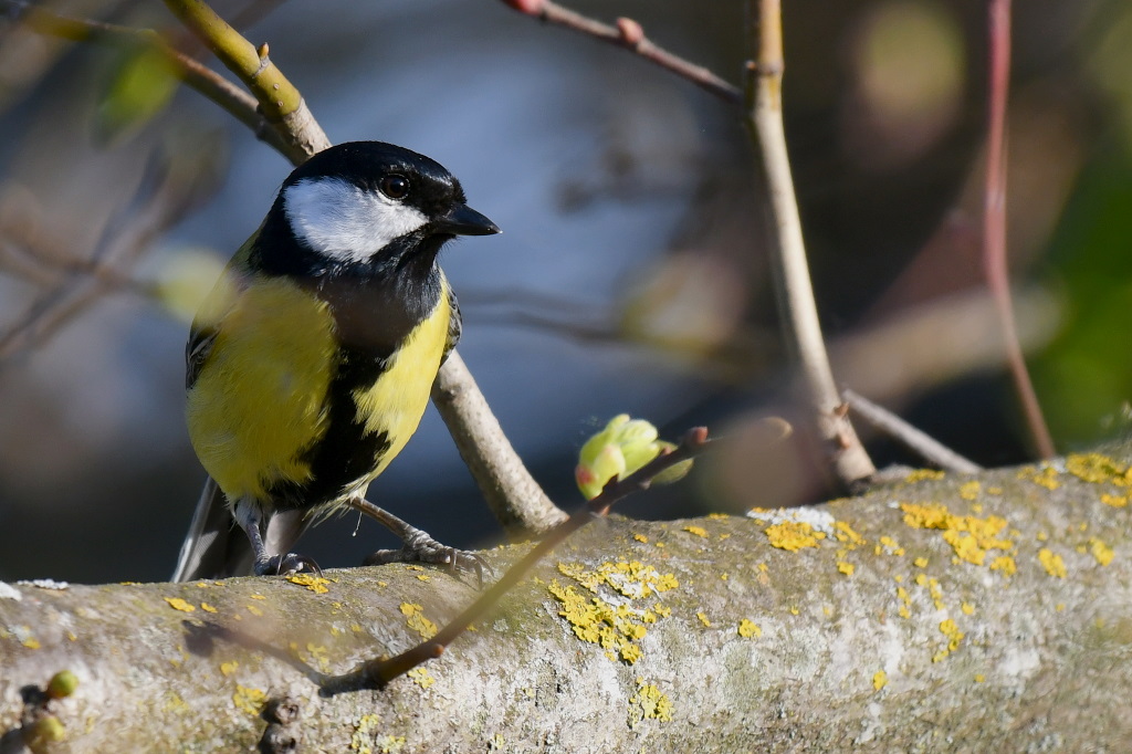 DSC_2424.JPG