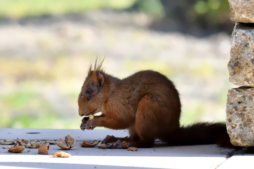 DSC_2344.JPG