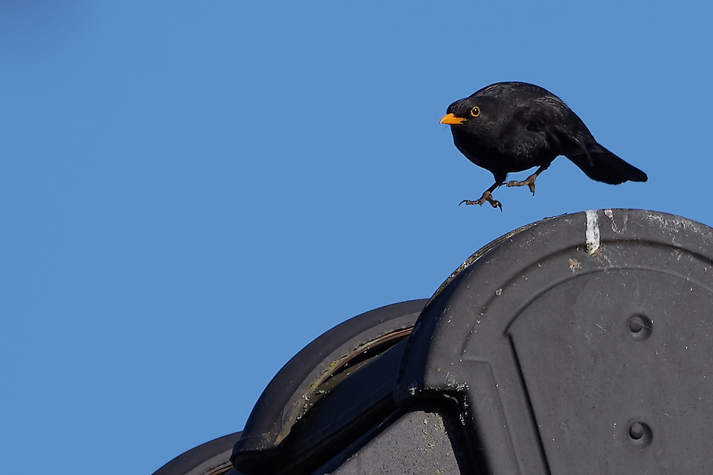 DSC_3260_DxO.jpg