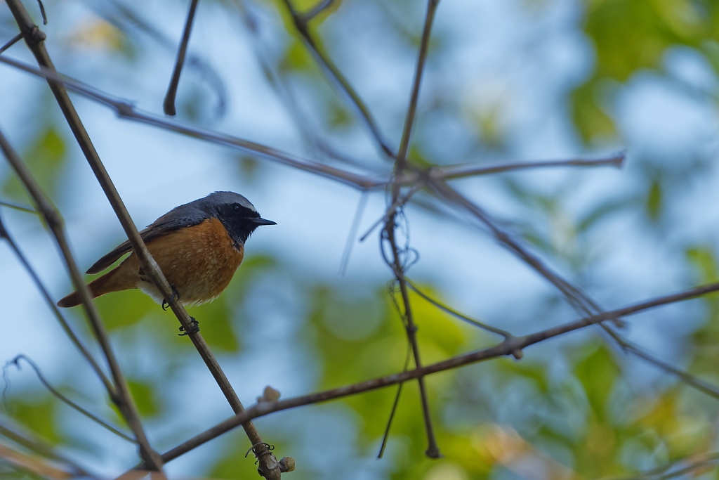 DSC_3265_DxO.jpg