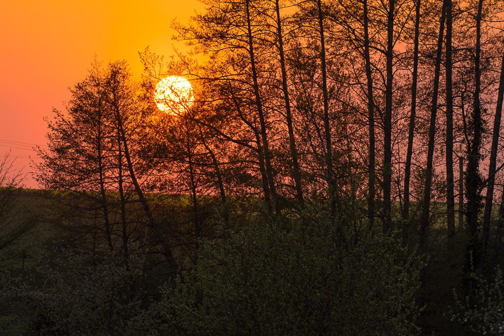 Couché de soleil.jpg